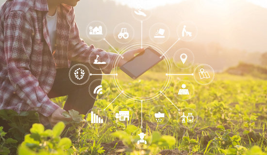 Agriculture numérique : Révolution verte pour les agriculteurs