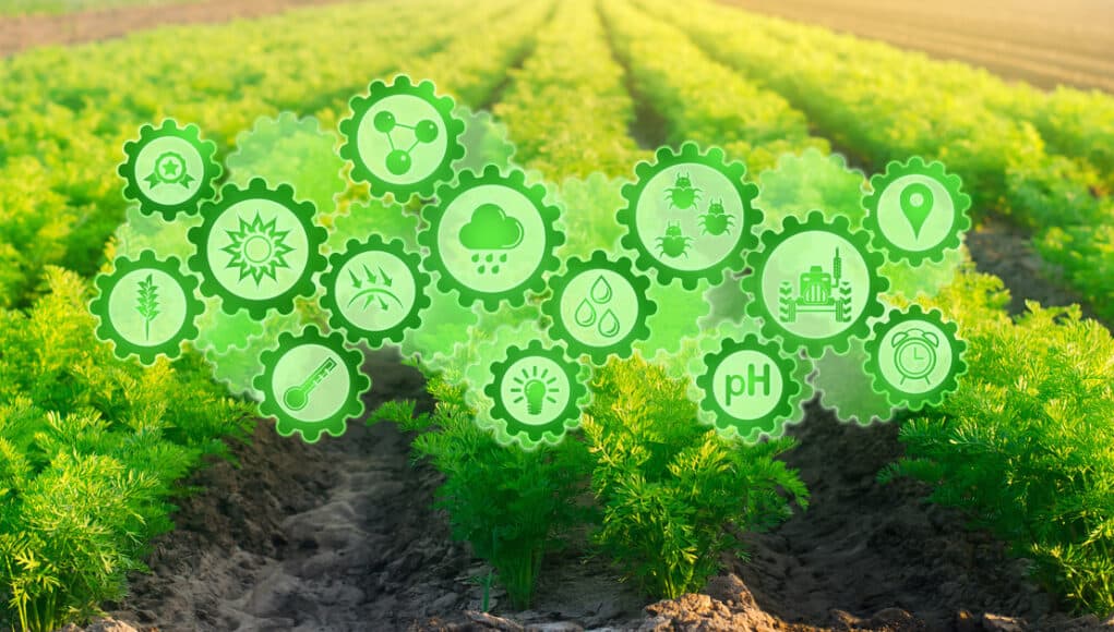 Le Maroc et la France misent sur l’agritech